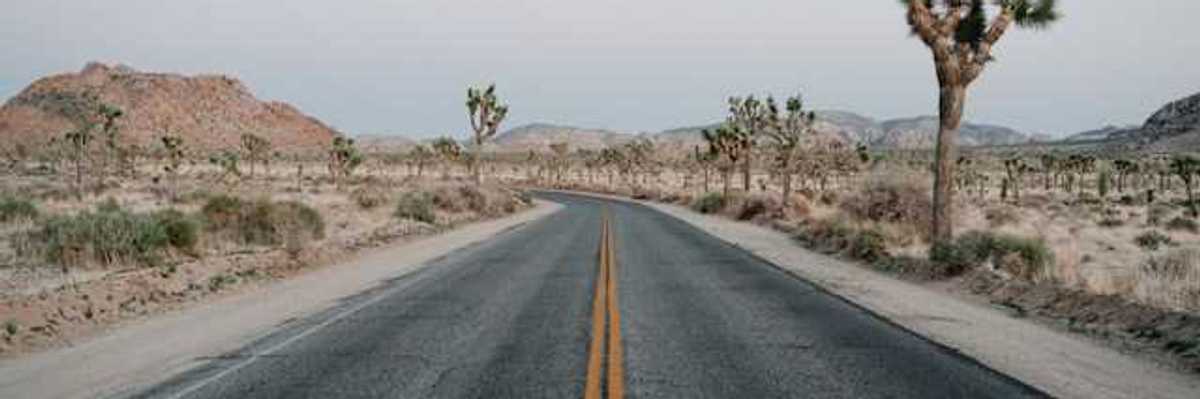 Road through Joshua Tree national park with desert environment on each side