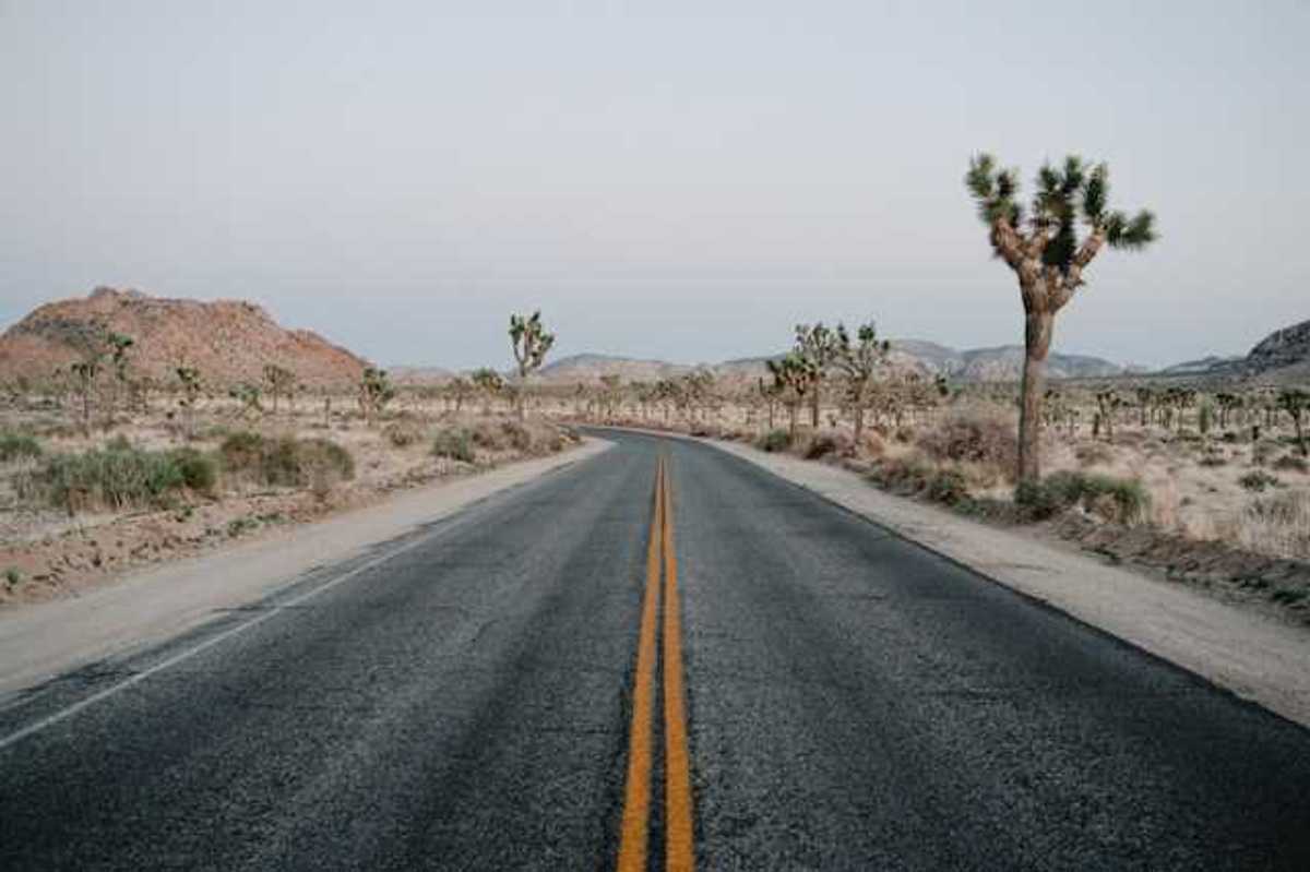 Road through Joshua Tree national park with desert environment on each side