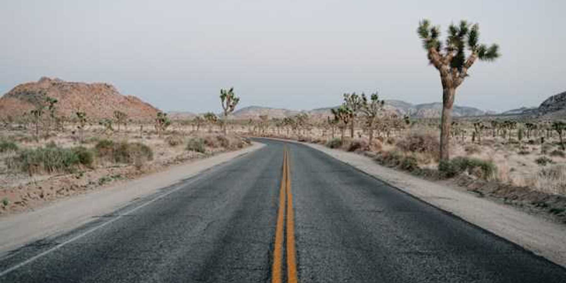 Road through Joshua Tree national park with desert environment on each side