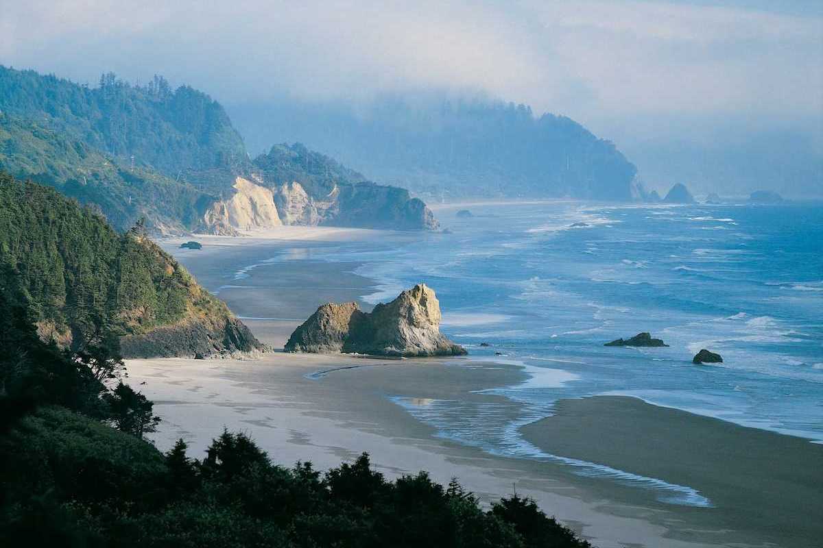 Rocky hilly tree-covered coastline with tide partially in standing against a frothy surf