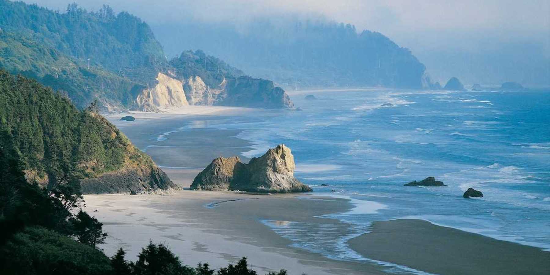 Rocky hilly tree-covered coastline with tide partially in standing against a frothy surf