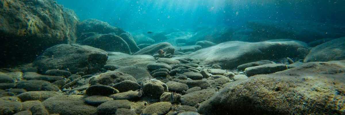 Rocky ocean floor with light coming from above.