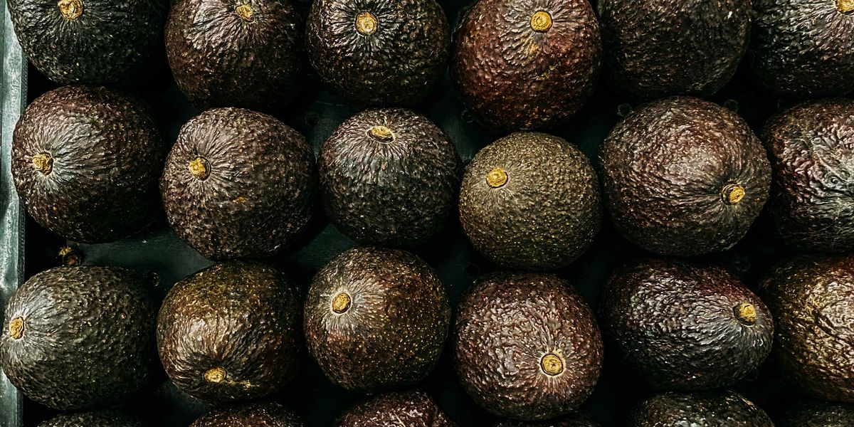 rows of avocados in a box.