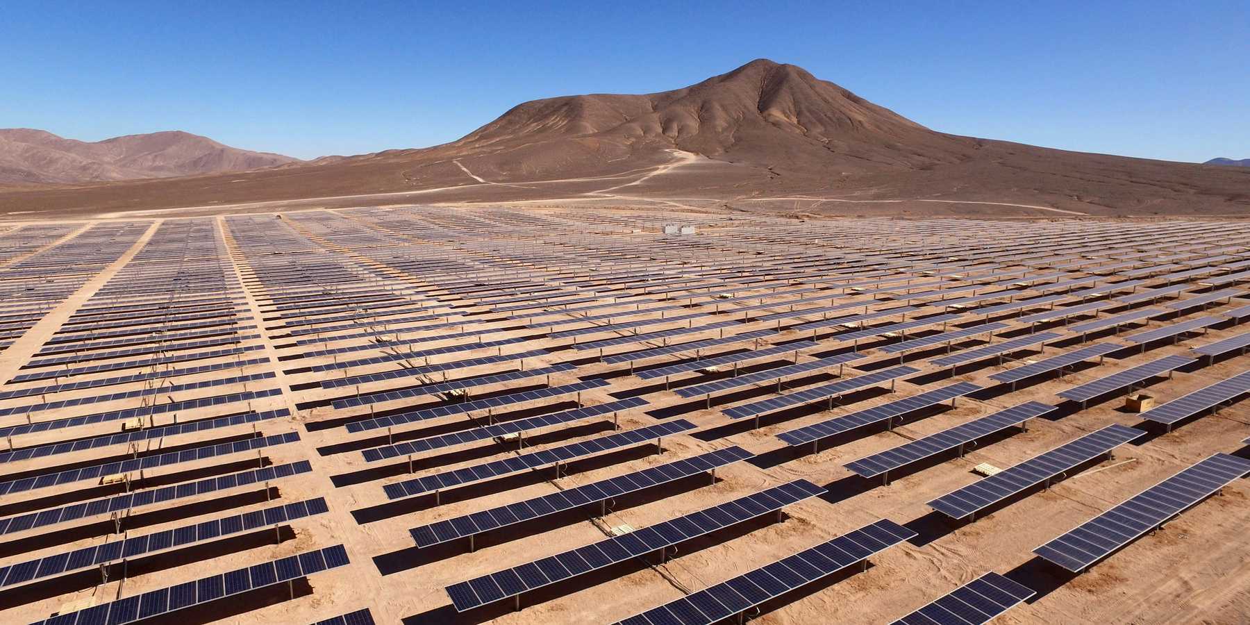 Rows of blue solar panels in a desert environment.