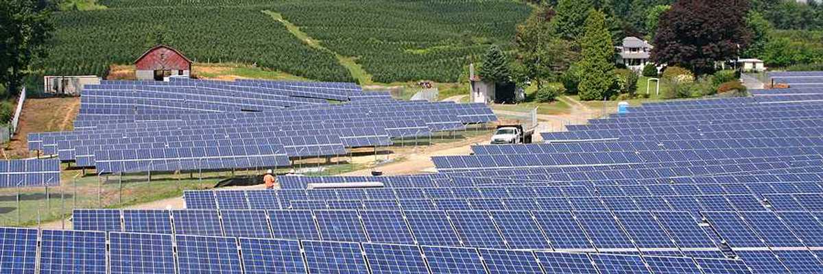 Rows of solar panels stretching up a hill toward a farm field