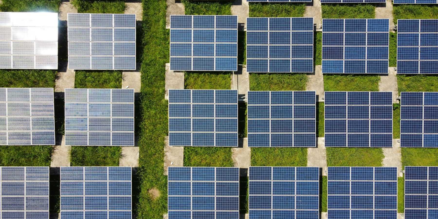 Rows of solar panels with green grass behind them.