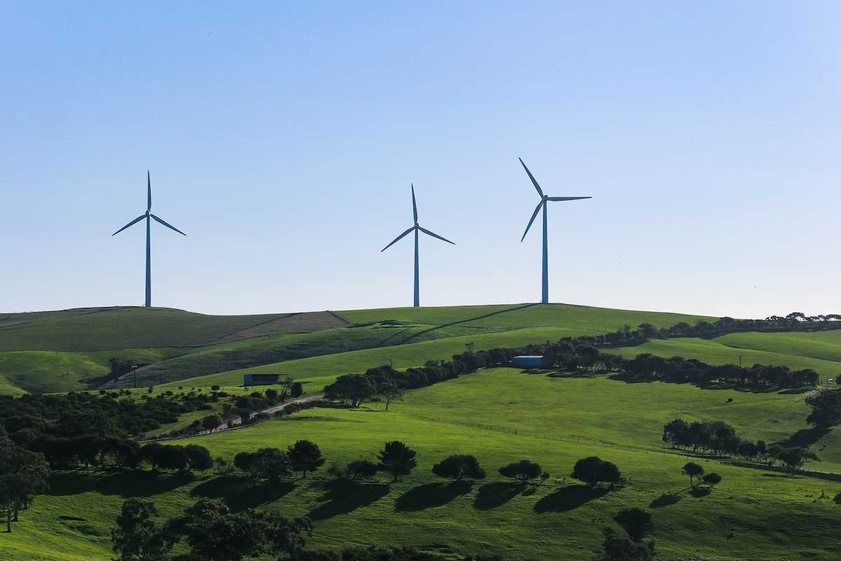 Rural hilltop wind farm . Three wind turbines towering above pastoral greenery.