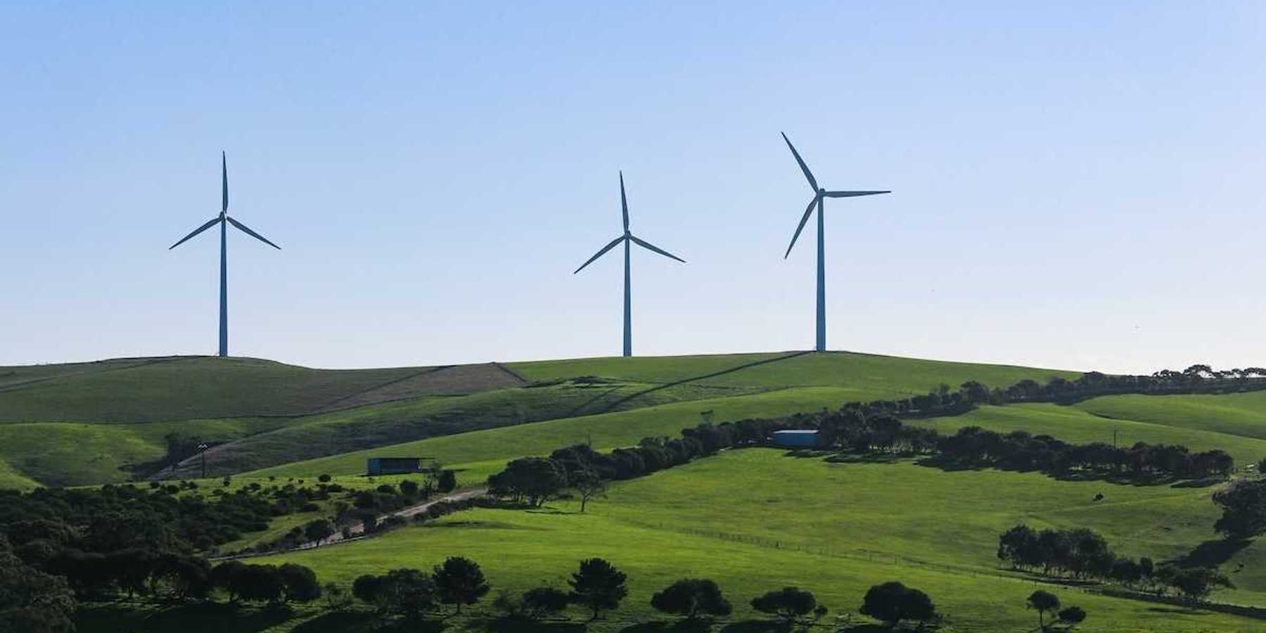 Rural hilltop wind farm . Three wind turbines towering above pastoral greenery.