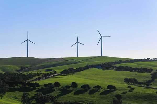 Rural hilltop wind farm . Three wind turbines towering above pastoral greenery.
