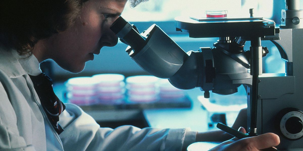 Scientist looking at a slide through a microscope.