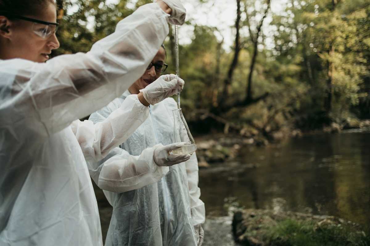 Scientists gathering water samples at a creek