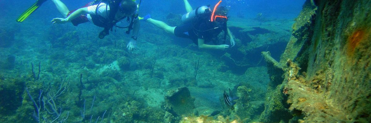Scuba divers exploring a damaged coral reef.