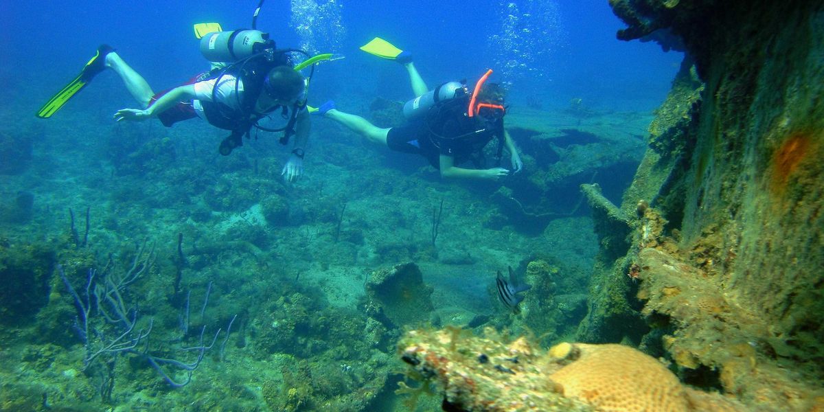 Scuba divers exploring a damaged coral reef.