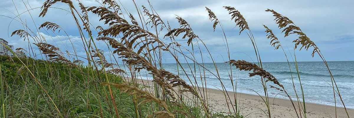 Sea oats overlooking the beach and ocean on a beautiful cloudy day along the shoreline