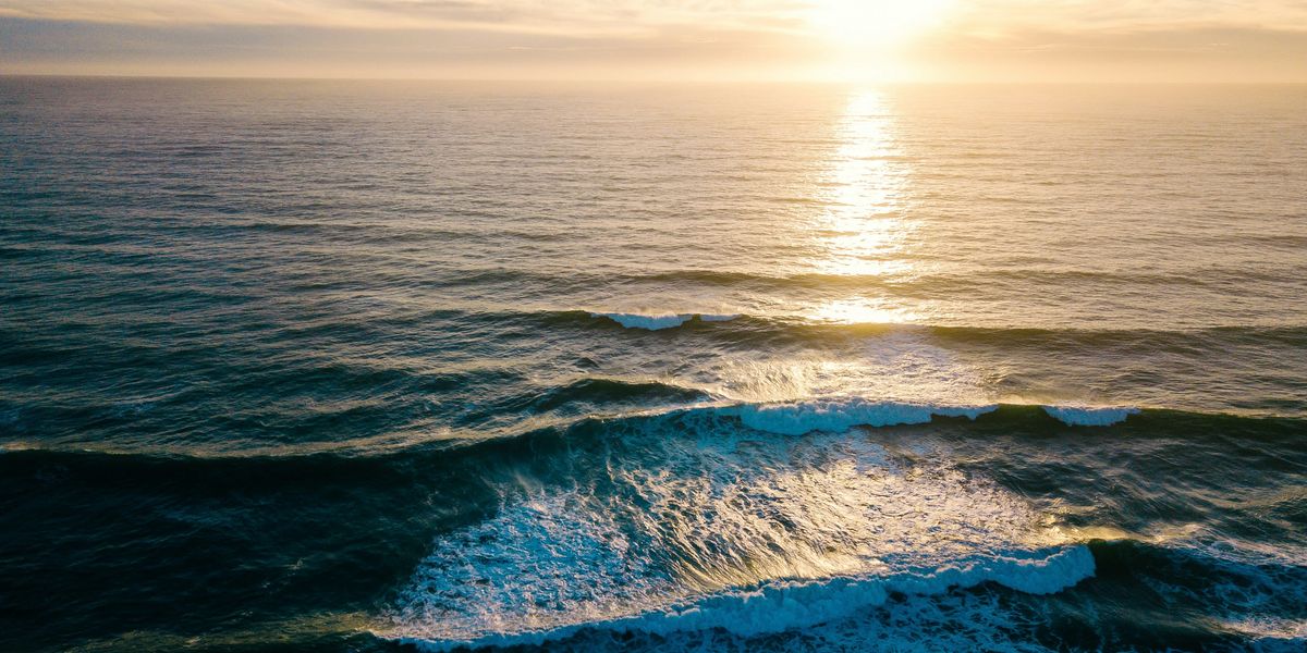 Sea wave during daytime with sun reflecting on it.