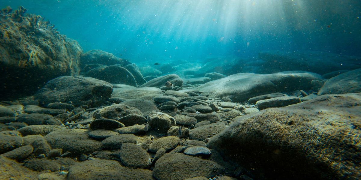Seabed with rocks and rays of sunlight permeating the depths.