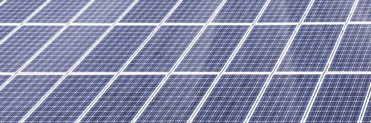 Sheep and solar energy photovoltaic panels against a sunny sky. Agrivoltaics in action.
