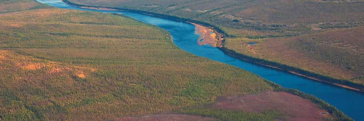 Siberian taiga and the river Tunguska fall from a helicopter. Larch taiga in September on the banks of the river and in Evenkia. Krasnoyarsk region Russia