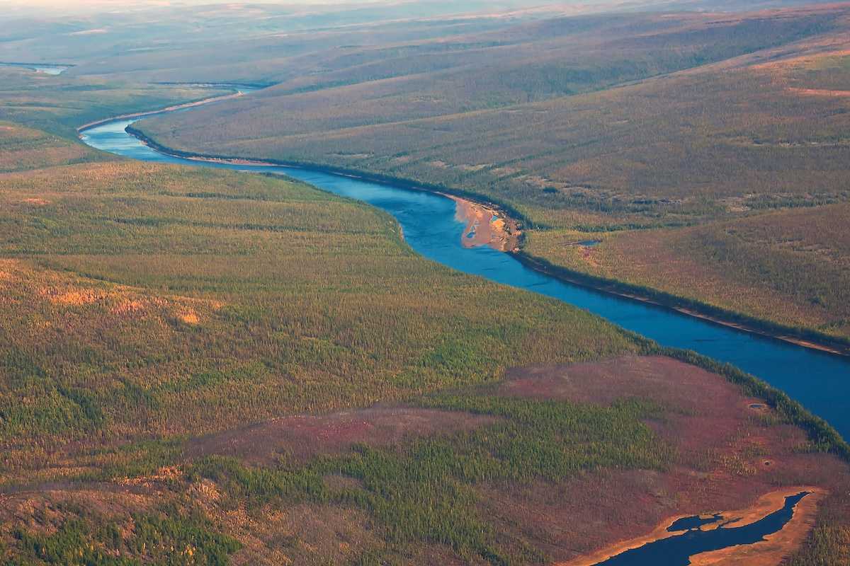 Siberian taiga and the river Tunguska fall from a helicopter. Larch taiga in September on the banks of the river and in Evenkia. Krasnoyarsk region Russia