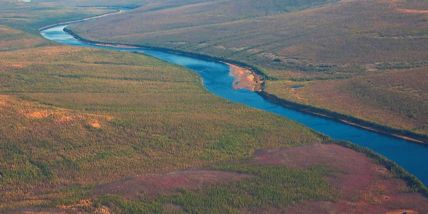 Siberian taiga and the river Tunguska fall from a helicopter. Larch taiga in September on the banks of the river and in Evenkia. Krasnoyarsk region Russia