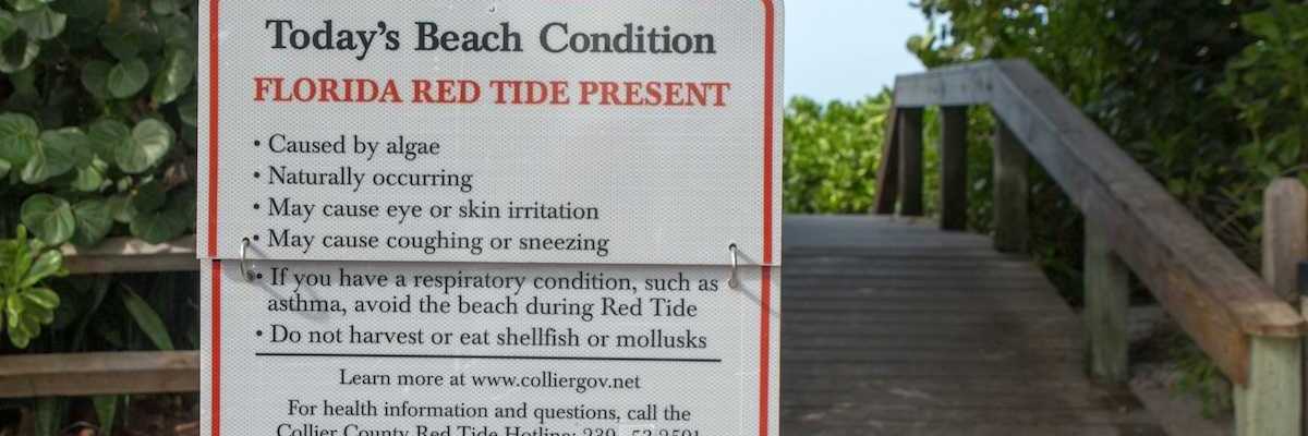 Sign at Florida beach entrance warns of red tide