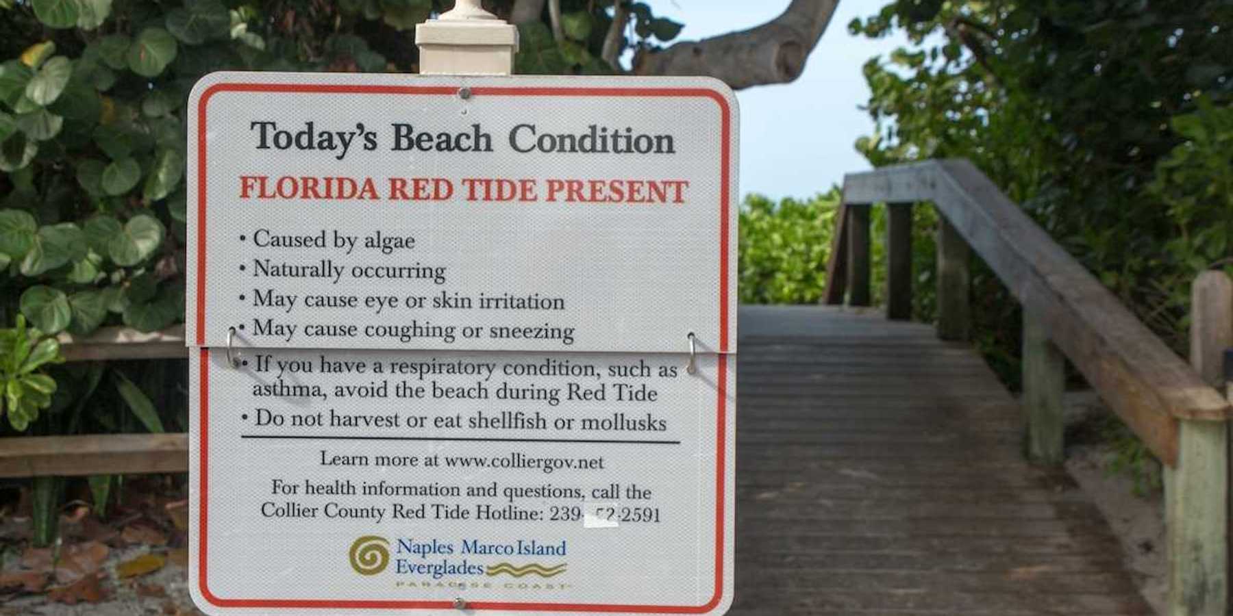 Sign at Florida beach entrance warns of red tide