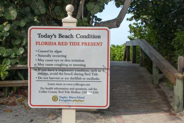 Sign at Florida beach entrance warns of red tide