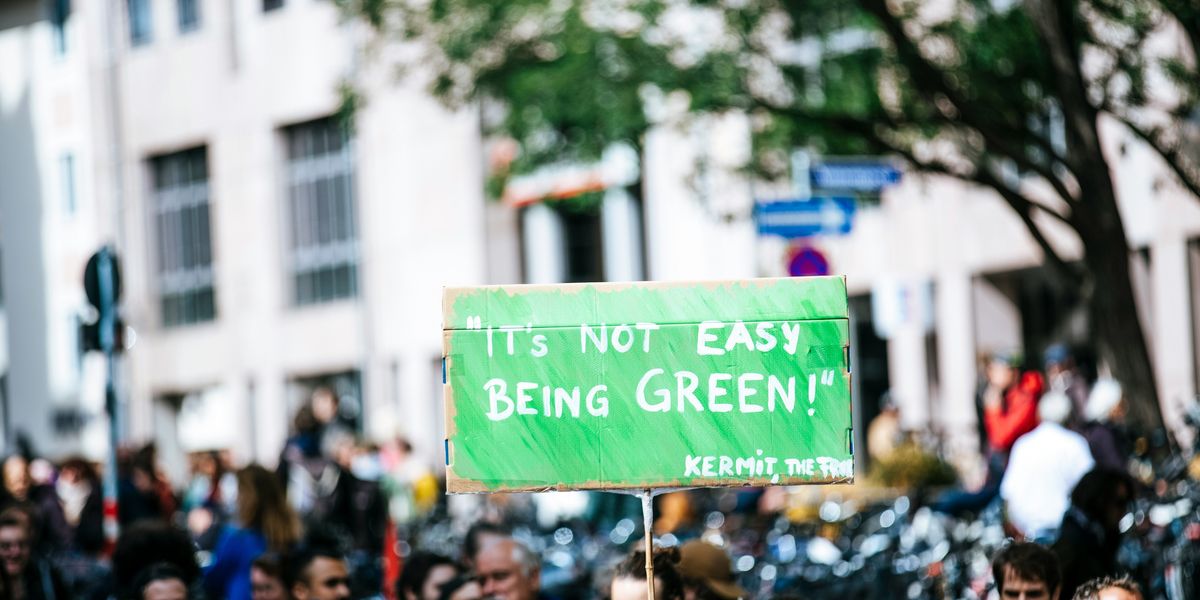 Sign held at a protest that says "It's not easy being Green"