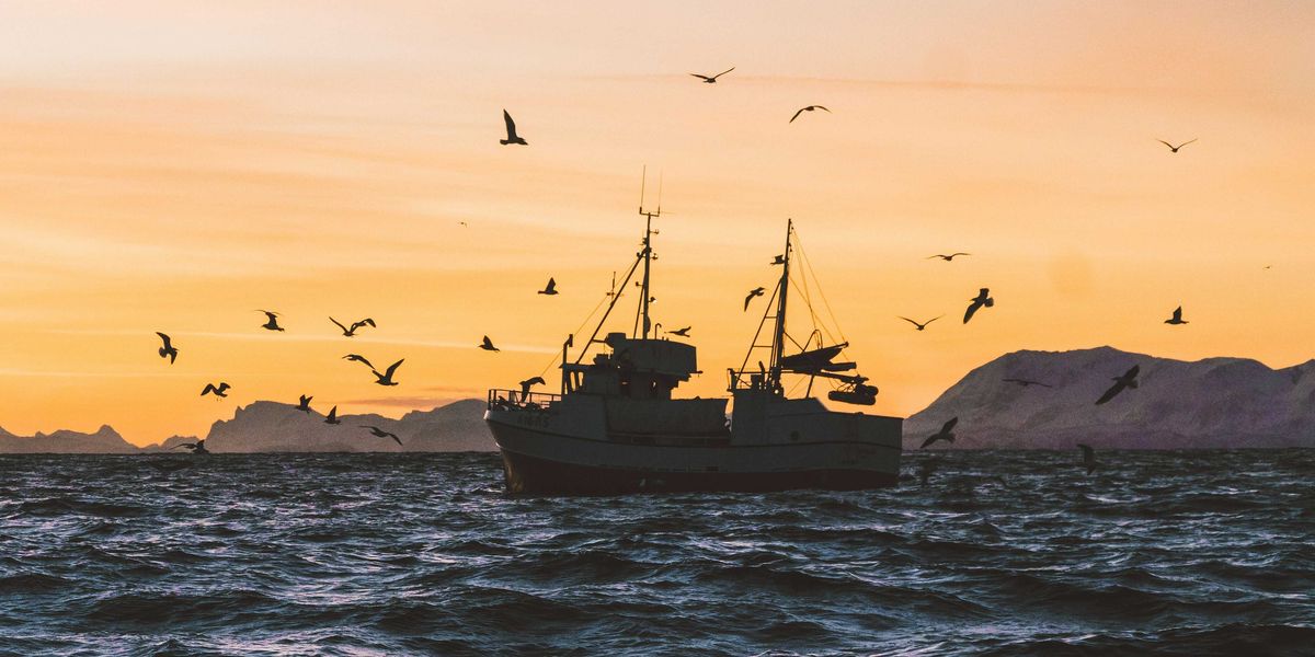 silhouette of boat on sea during sunset