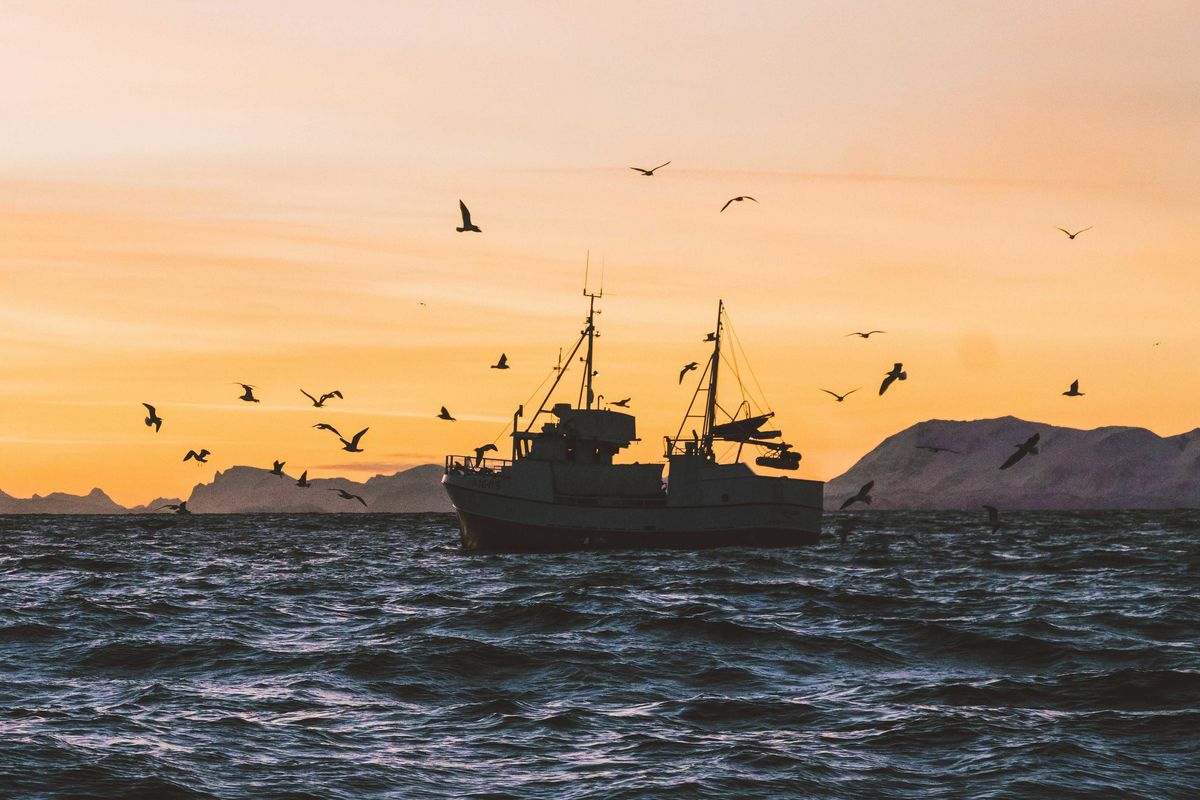 silhouette of boat on sea during sunset