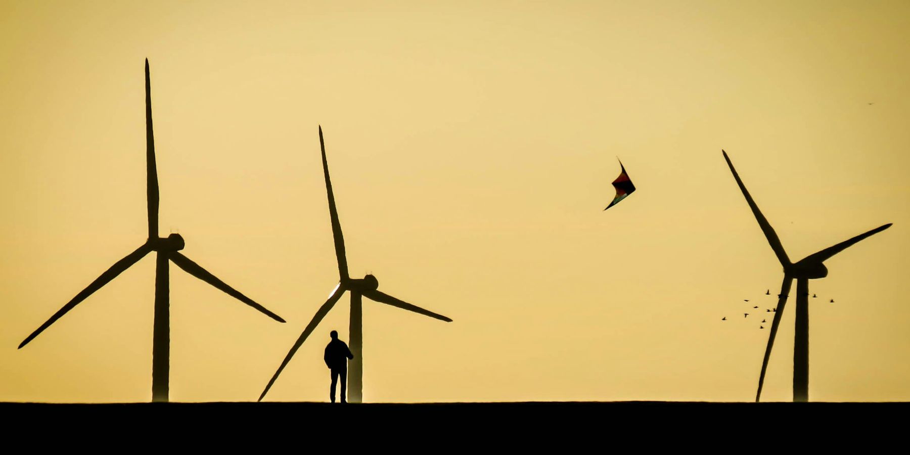 silhouette of person standing near windmills.