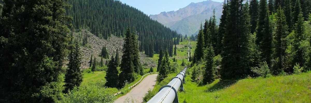 Single pipeline stretching across seemingly pristine northern terrain through green meadows and stands of conifers.