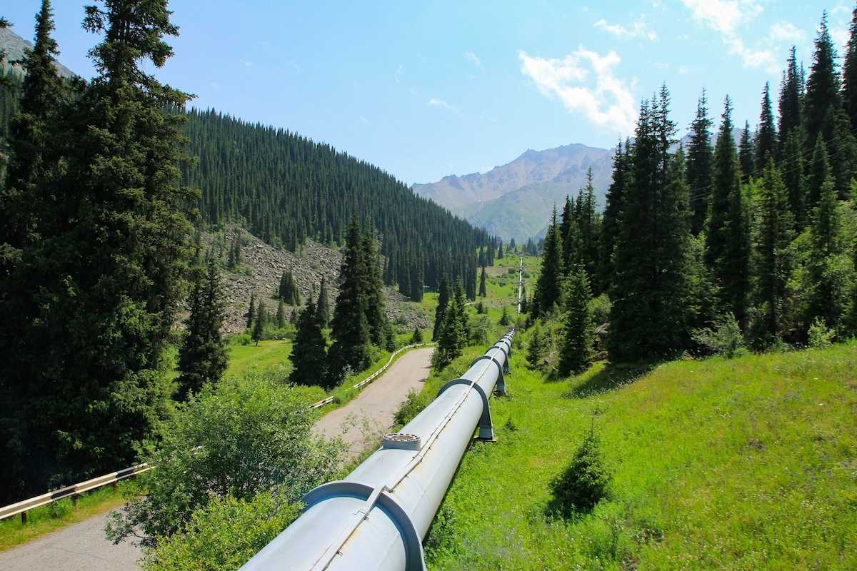 Single pipeline stretching across seemingly pristine northern terrain through green meadows and stands of conifers.