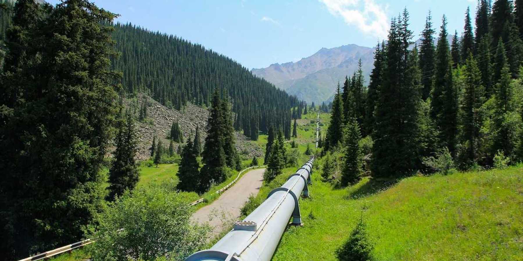 Single pipeline stretching across seemingly pristine northern terrain through green meadows and stands of conifers.