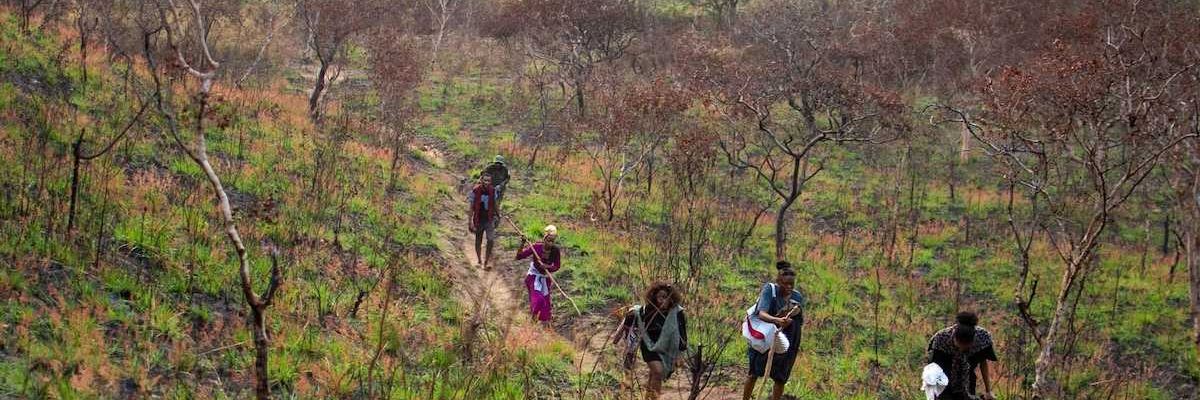 Six local people walking single file on a trail in Congo