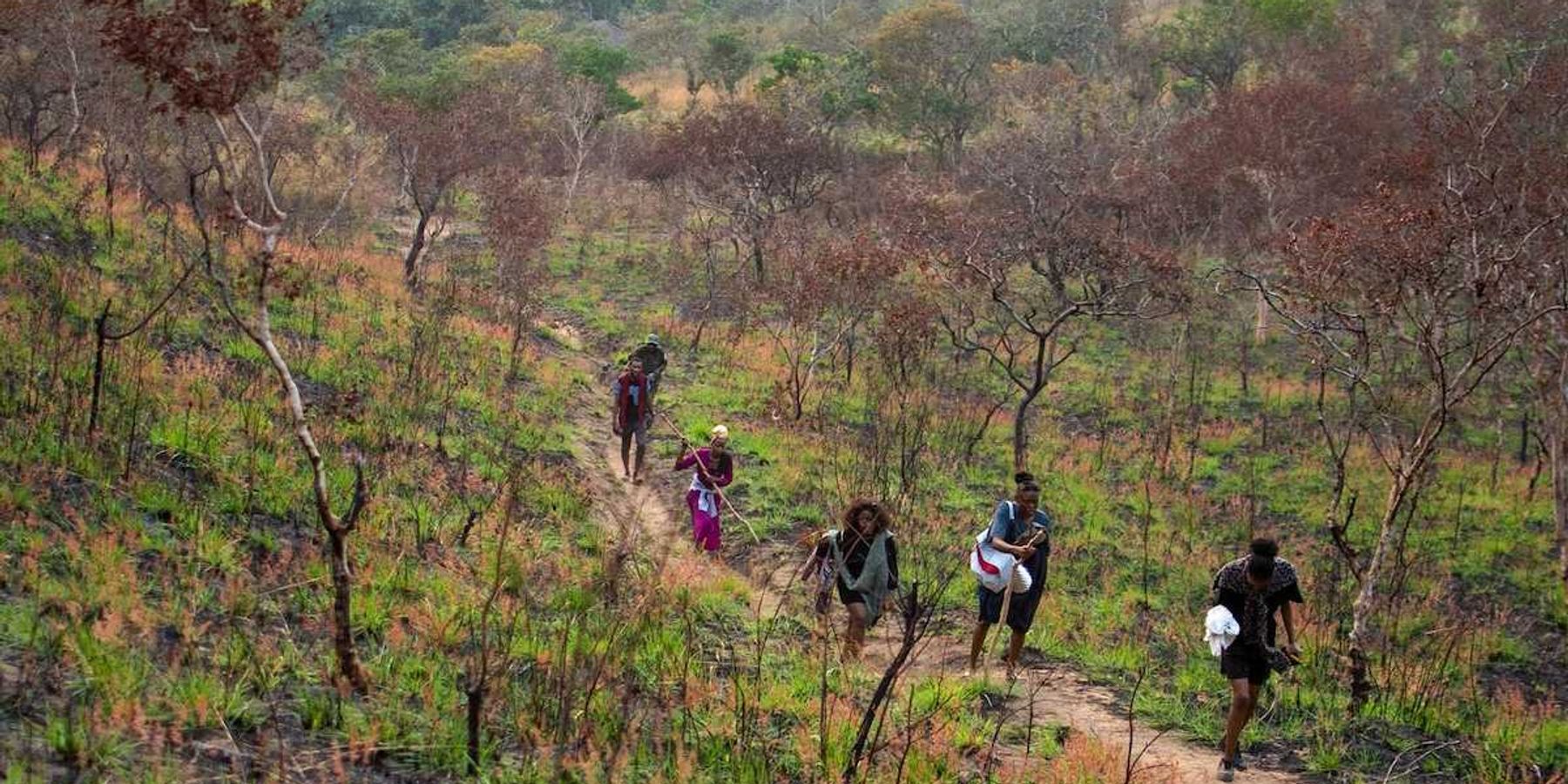 Six local people walking single file on a trail in Congo