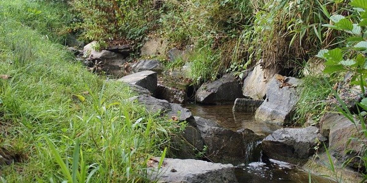 Small creek with water running over rocks.
