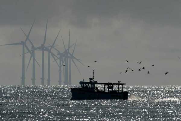 Small fishing boat trailed by sea birds with wind turbines in the background.