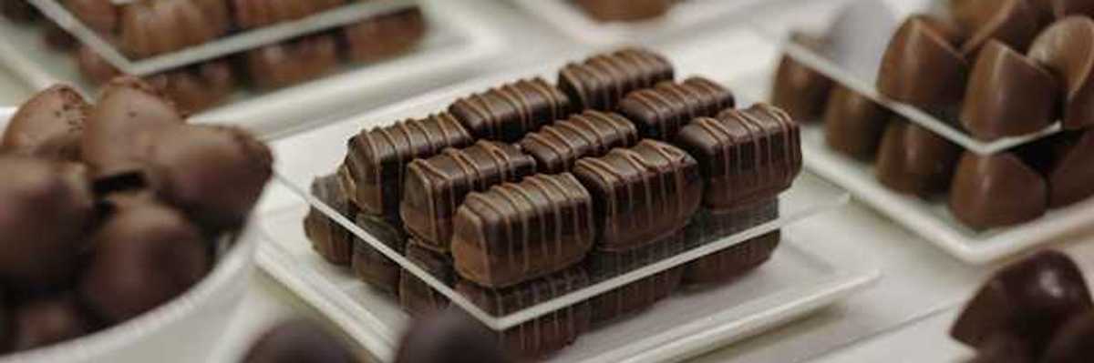 Small plates with different types of chocolate