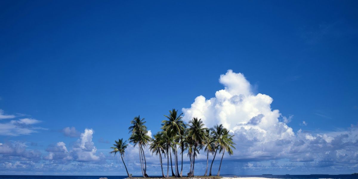 Small uninhabited South Pacific island with a dozen palm trees