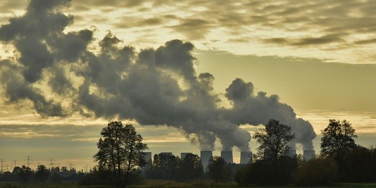 Smoke rising from power plant in the distance with a grassy field flanked by trees in foreground.