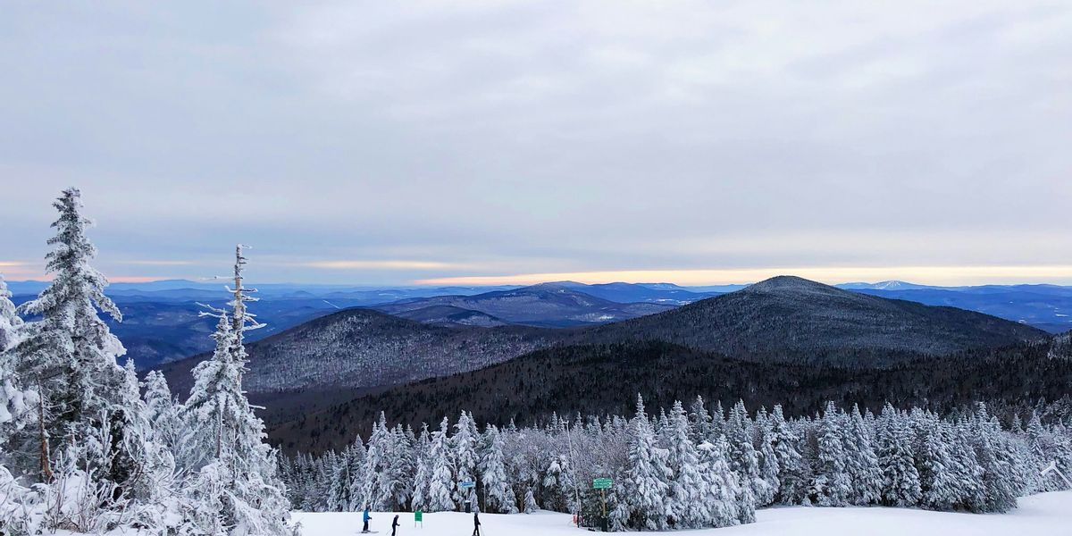 snow covered pine trees and mountains with overcast skies during daytime.
