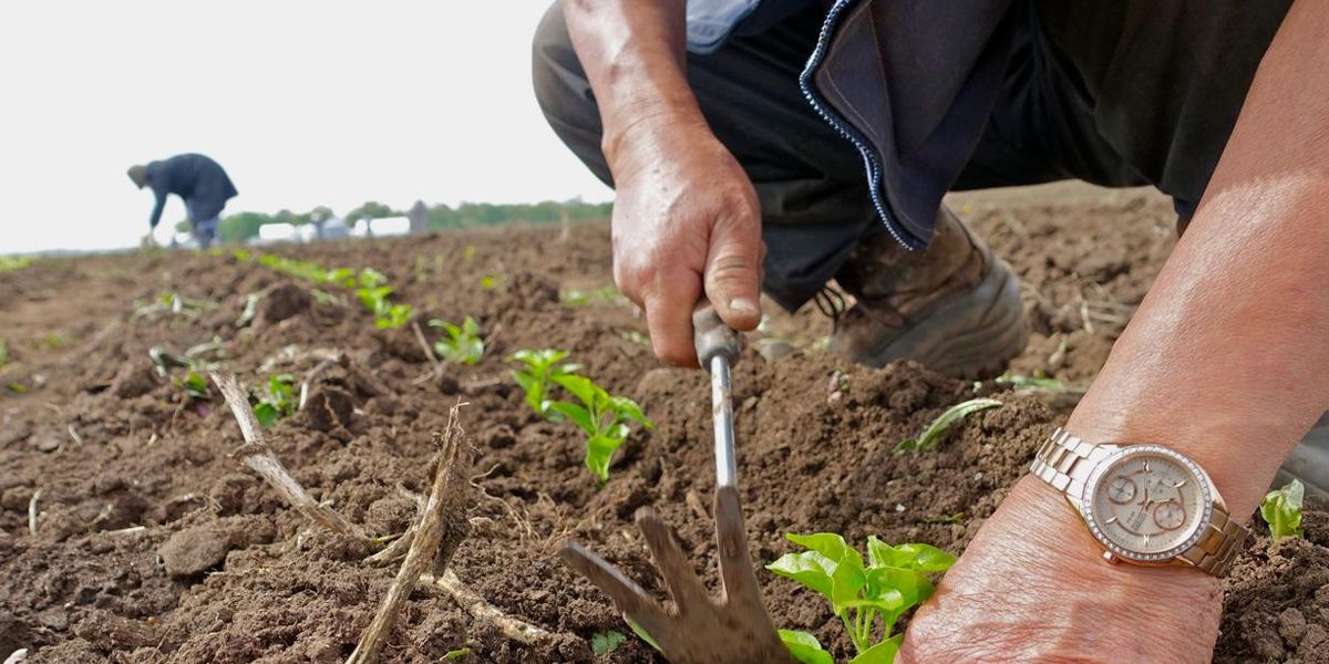 soil health climate change