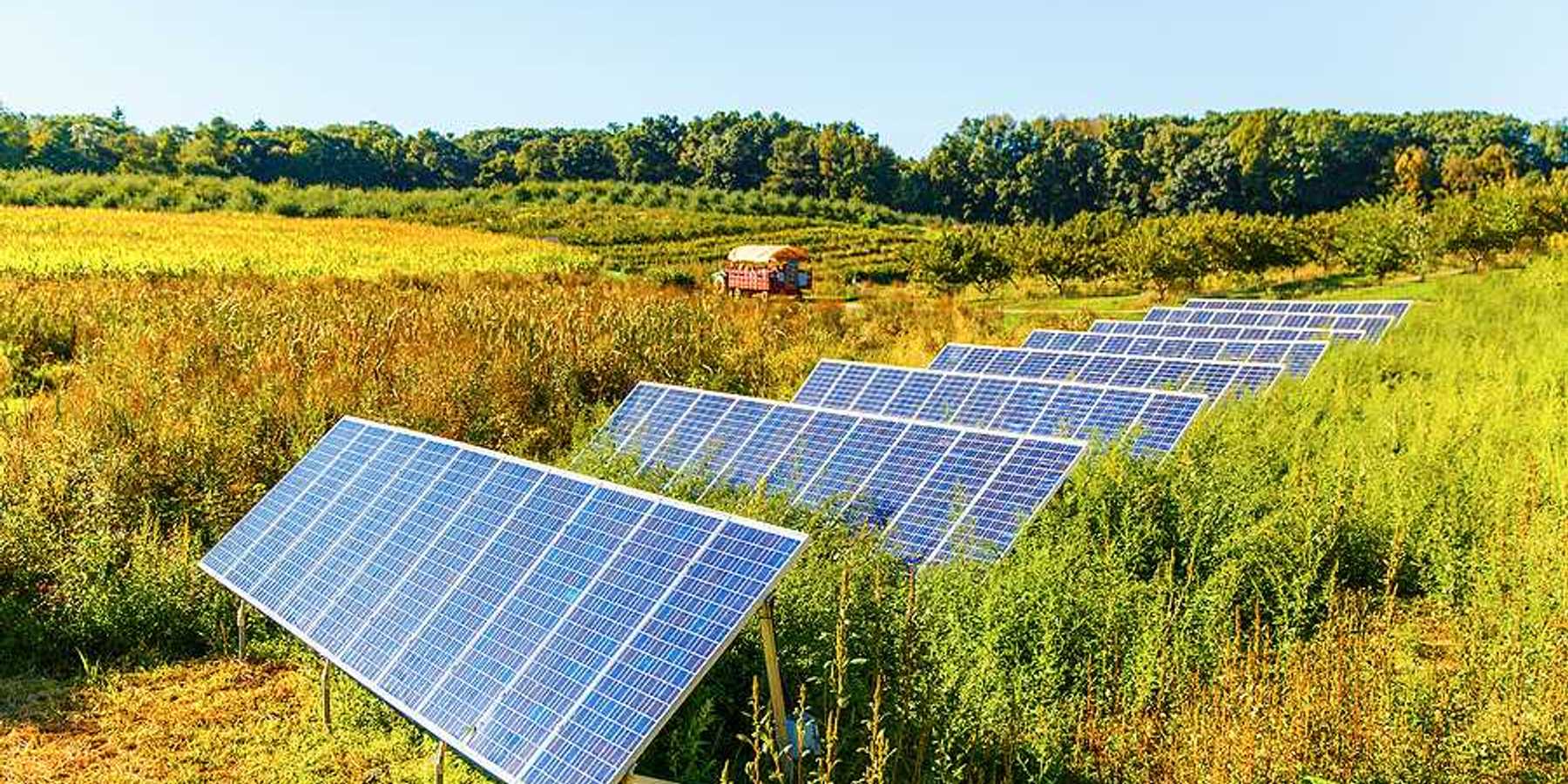 Solar panels arranged on a farm