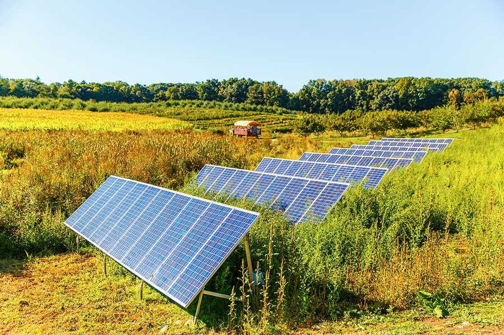 Opinion: To counter farmland loss, solar needs soil science