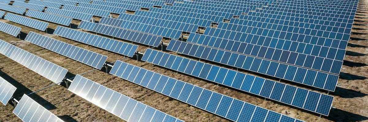 Solar panels arrayed in a newly cleared field