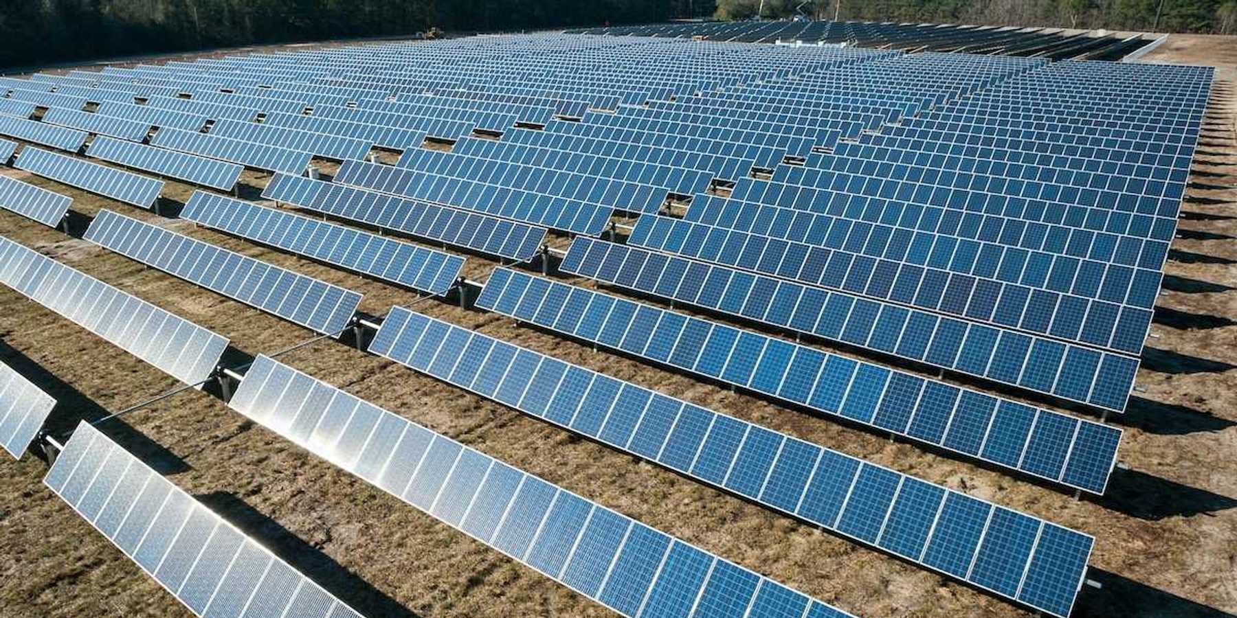 Solar panels arrayed in a newly cleared field