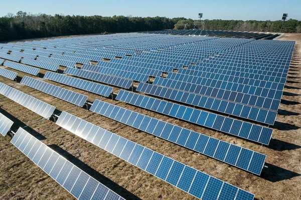 Solar panels arrayed in a newly cleared field