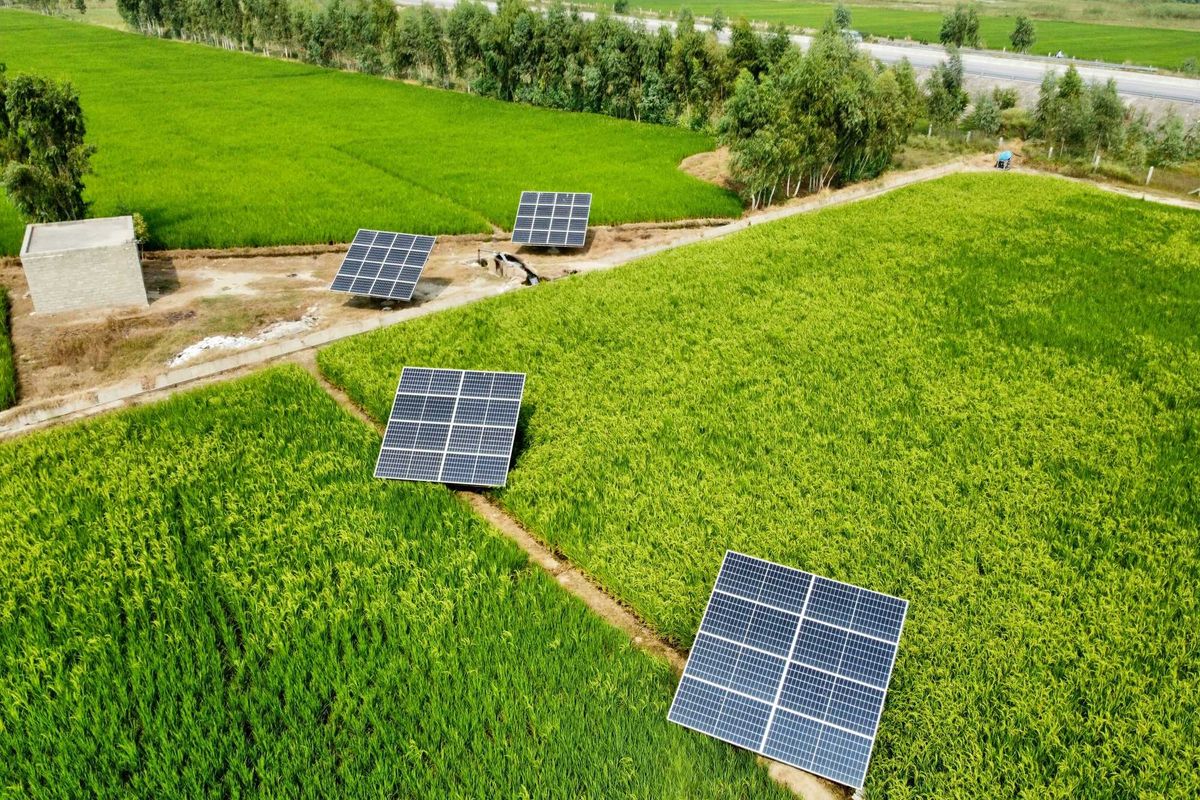 solar panels on a farm field