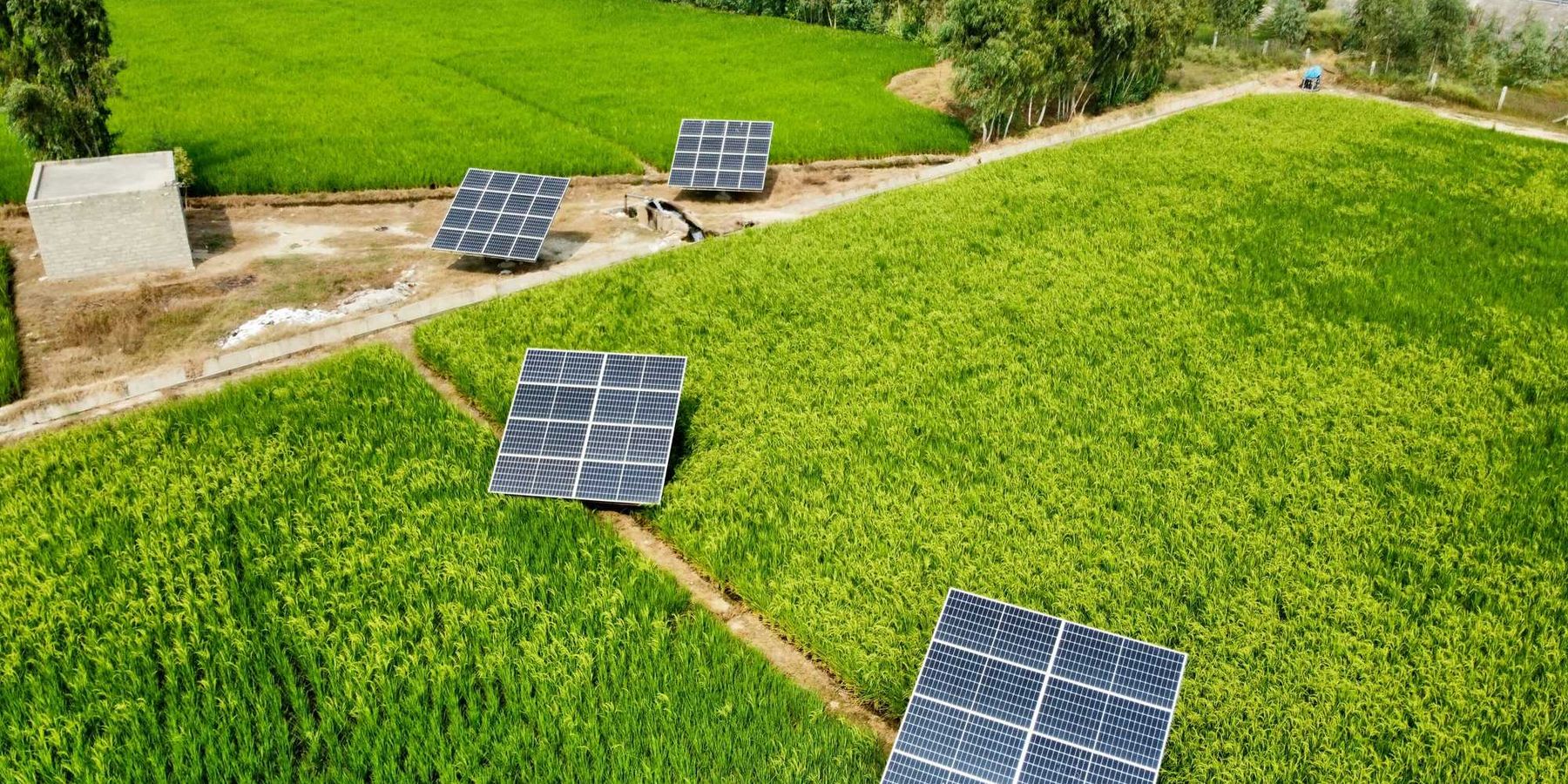 solar panels on a farm field